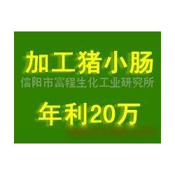 信陽市進(jìn)出口代理與動(dòng)漫游戲開發(fā) 融合供應(yīng)鏈與創(chuàng)意產(chǎn)業(yè)的商業(yè)機(jī)遇