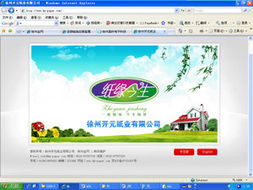 徐州金網(wǎng) 打造全方位的數(shù)字化解決方案專家